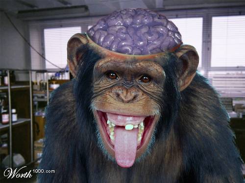 michelle obama pictures monkey. monkey brains obama site